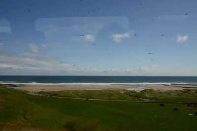 DSC_7224 (Large).JPG